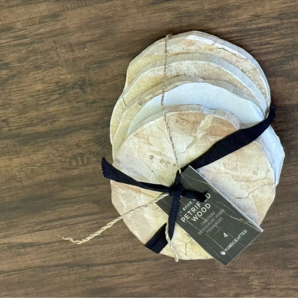 West Elm Petrified coasters set of 4